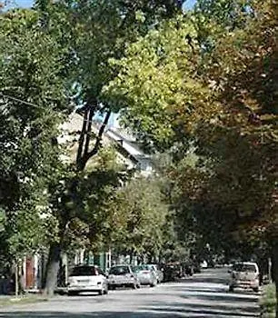 Abel Budapest